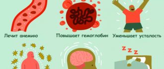 причины повышения железа в крови