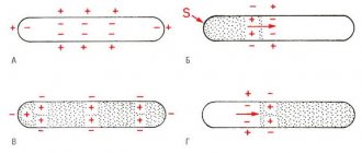 Processes of depolarization and repolarization