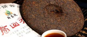 puer shen