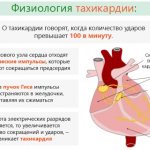Pulse 180-190-200-210-220 beats per minute at rest, when running, under load. What does this mean, causes, treatment for adults, children 