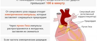 Пульс 180-190-200-210-220 ударов в минуту в состоянии покоя, при беге, нагрузке. Что это значит, причины, лечение взрослого, ребенка