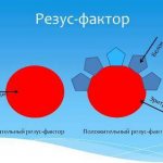 Rh factor difference