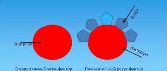 Rh factor difference