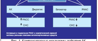 Рис. 1. Компенсаторные механизмы действия АК, диуретиков и блокаторов РААС на функцию сосудов и почек, активность симпатической нервной системы и активность РААС