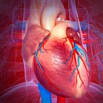 Cardiovascular Diseases - Site