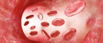 Schematic representation of red blood cells in a blood vessel