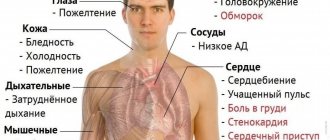 Симптомы пониженного гемоглобина у мужчин