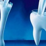 The human skeleton is an important component of the body. Bones must be strong and reliably support the human body. But for some reason they do not receive enough calcium and become fragile. We&#39;ll talk about how to avoid this today. 