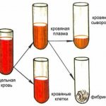 blood plasma composition