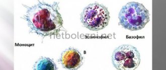 Components of leukocytes