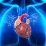 vascular insufficiency