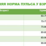 Average heart rate in adults