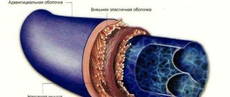 Vein structure