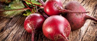 Beet