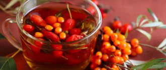 Укрепляющий чай из боярышника, шиповника и облепихи