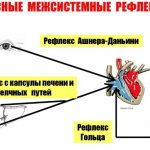 Vagal tests for tachycardia, arrhythmia, extrasystole, SVC in adults. What is it, contraindications 