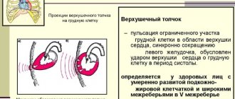 Apex impulse. Normal in children, with hypertension, ventricular hypertrophy, ischemic heart disease