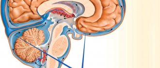 Everything about the possible development of brain damage